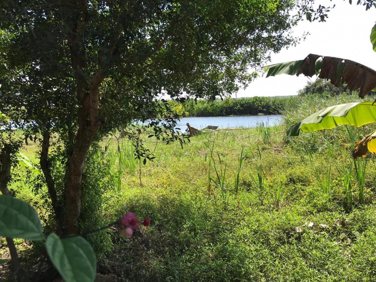 Pousada Mangue Seco Itaunas  Bagian luar foto